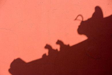 《铁拳8》紧急平衡补丁正在制作中 社区怒火仍未平息